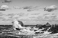 By the Shore 23